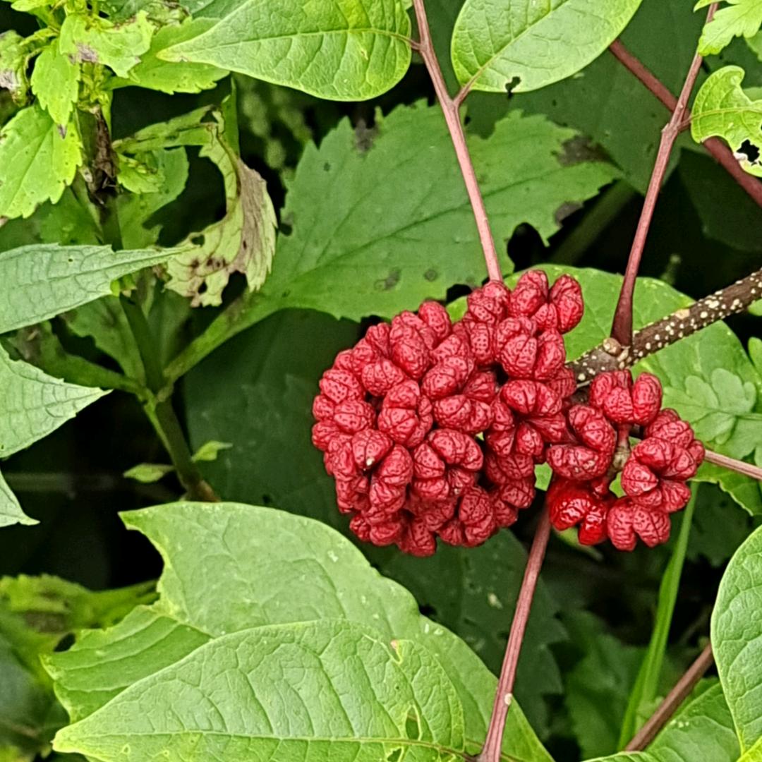 给心情放个假