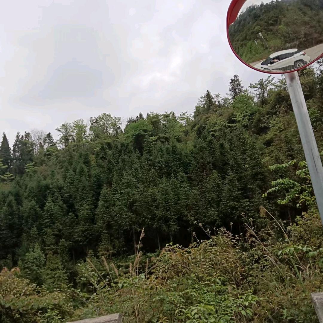 随手拍