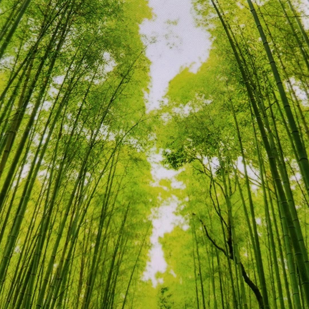 清心健身操