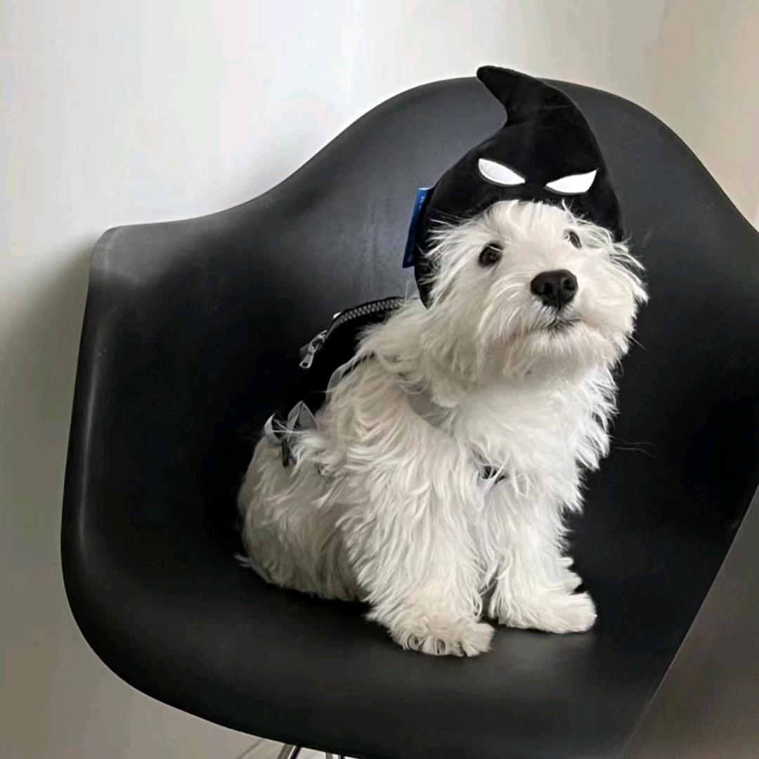 渡边淳一