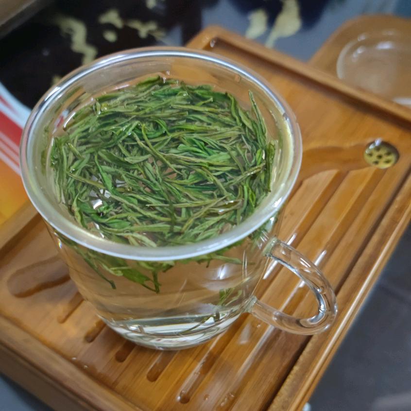 小卷毛莫妮卡