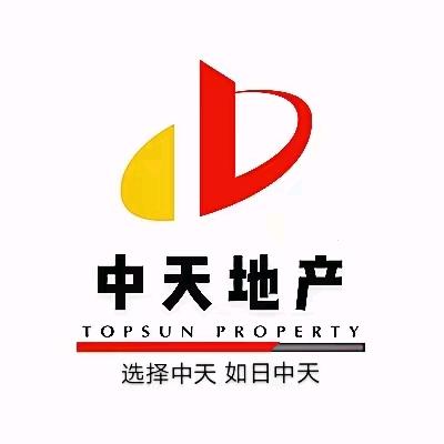 中天地产