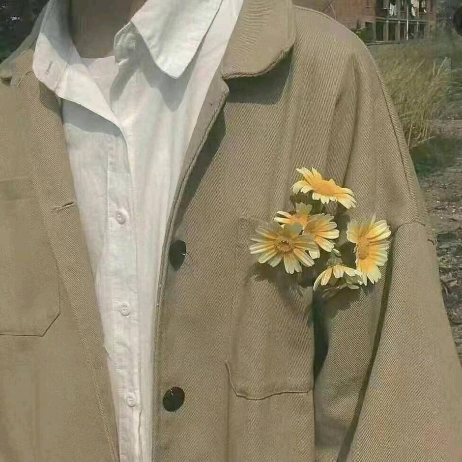 林深时见鹿～～