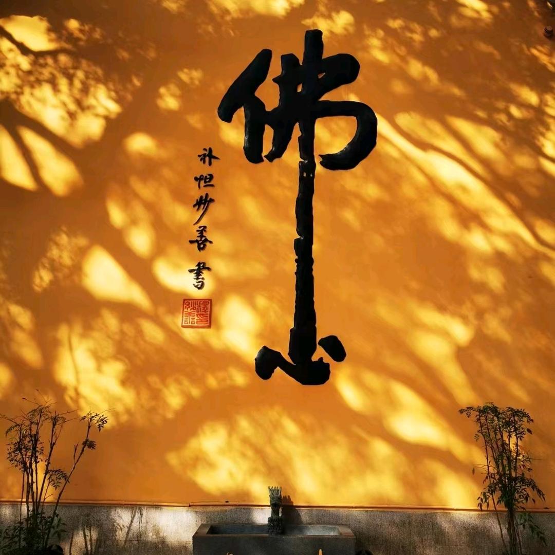 菏泽及曹县直达普陀山