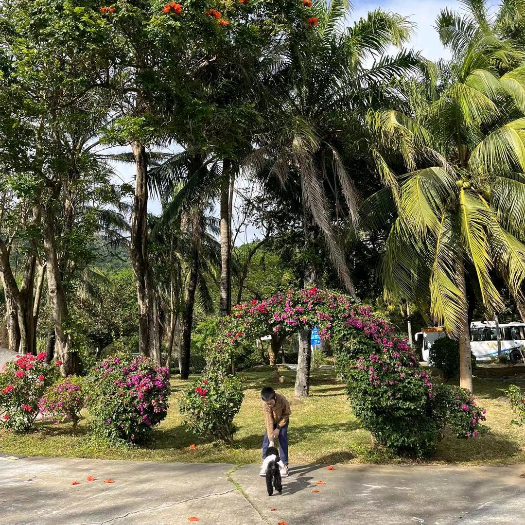 A小陈