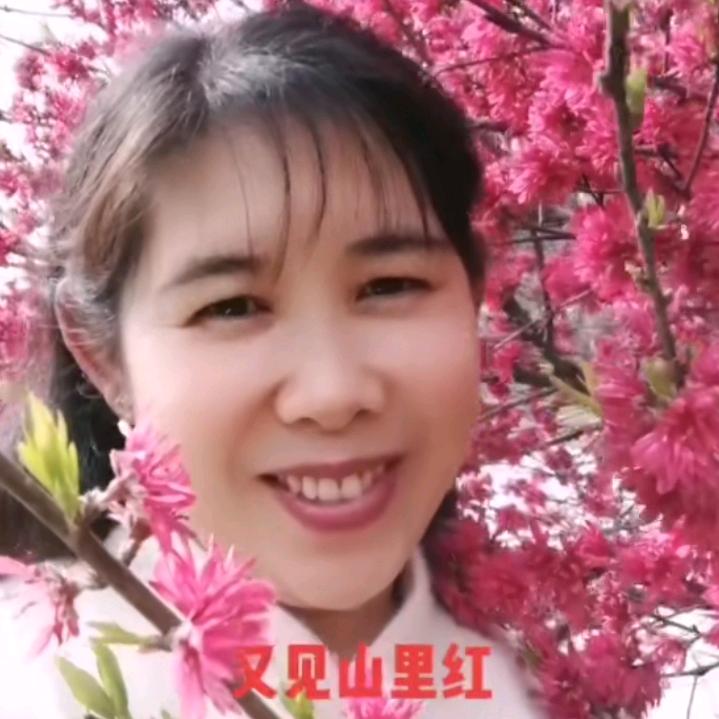 诗情画意