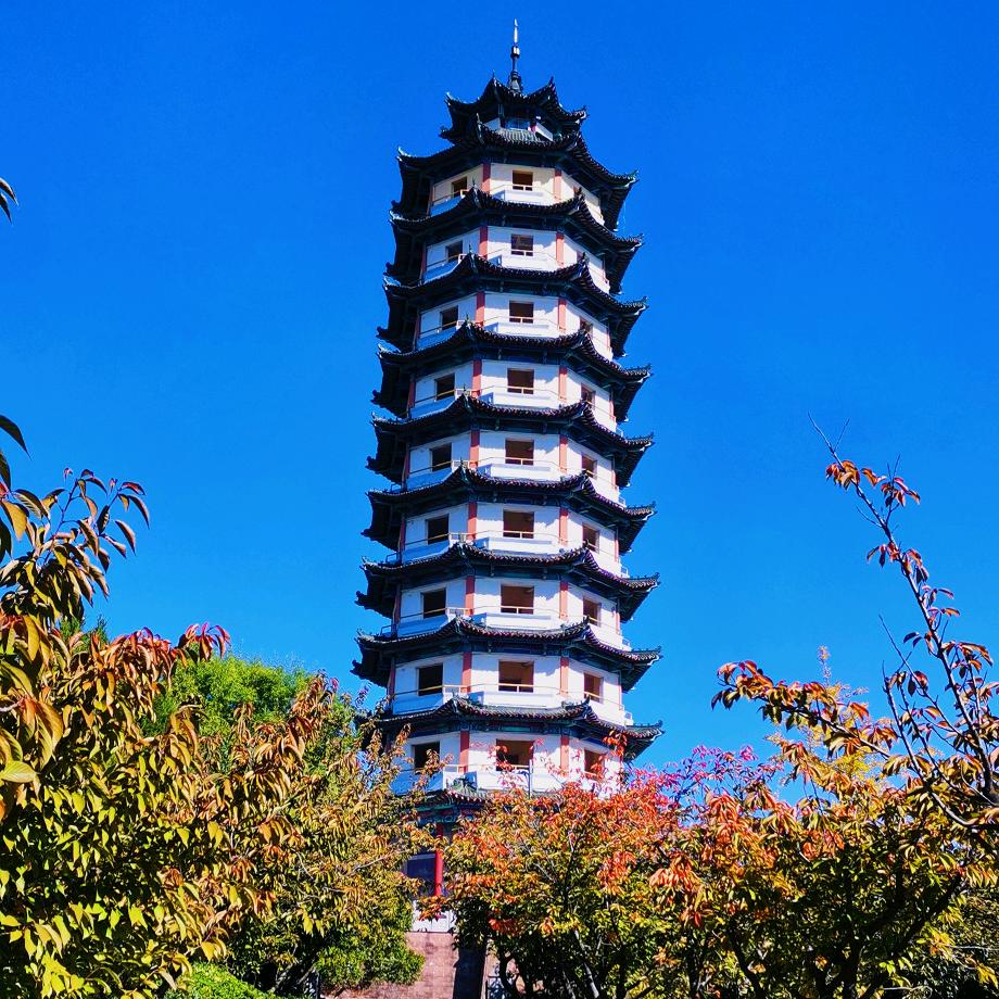 有听