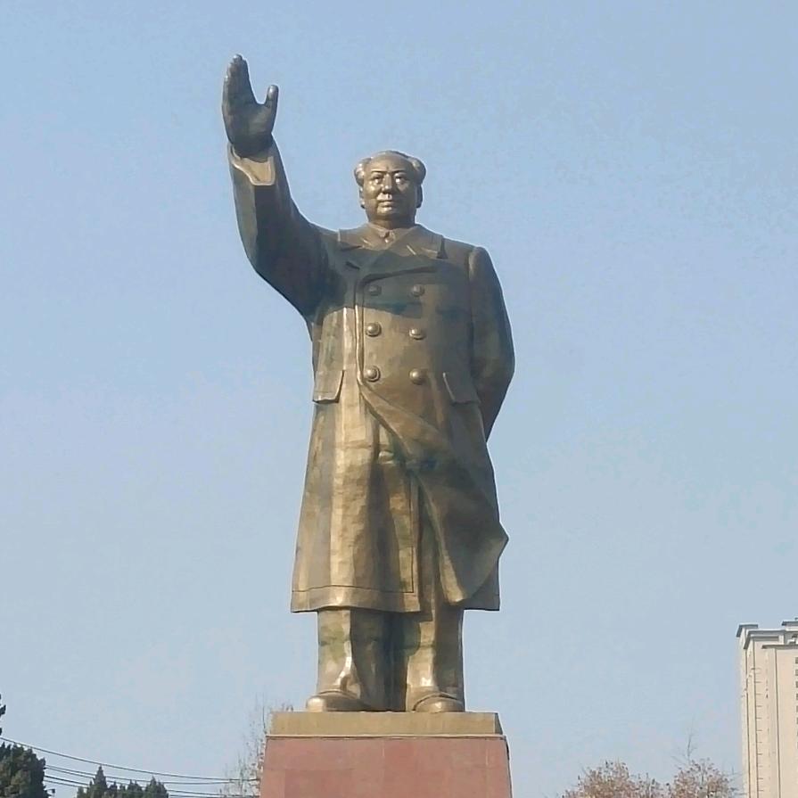 冀D“超级玛丽”