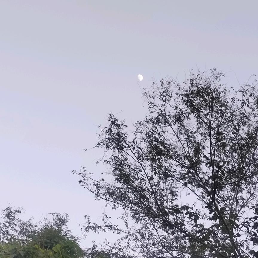 是圆圆辣椒丫₍•ʚ•₎•ʚ•₎•ʚ•₎