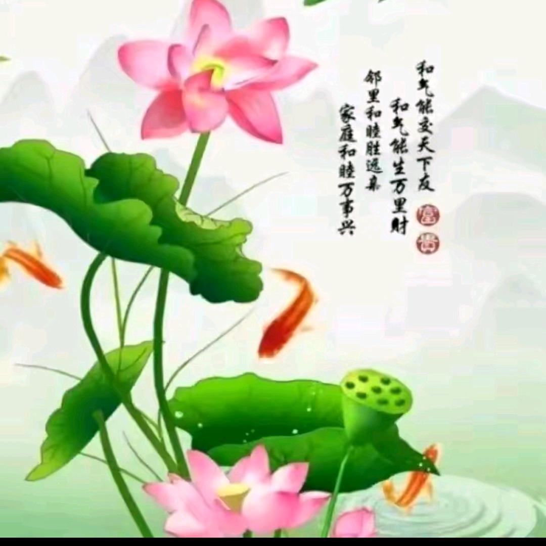 用户7716777089368一切随缘