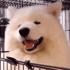 小屁孩精品手工