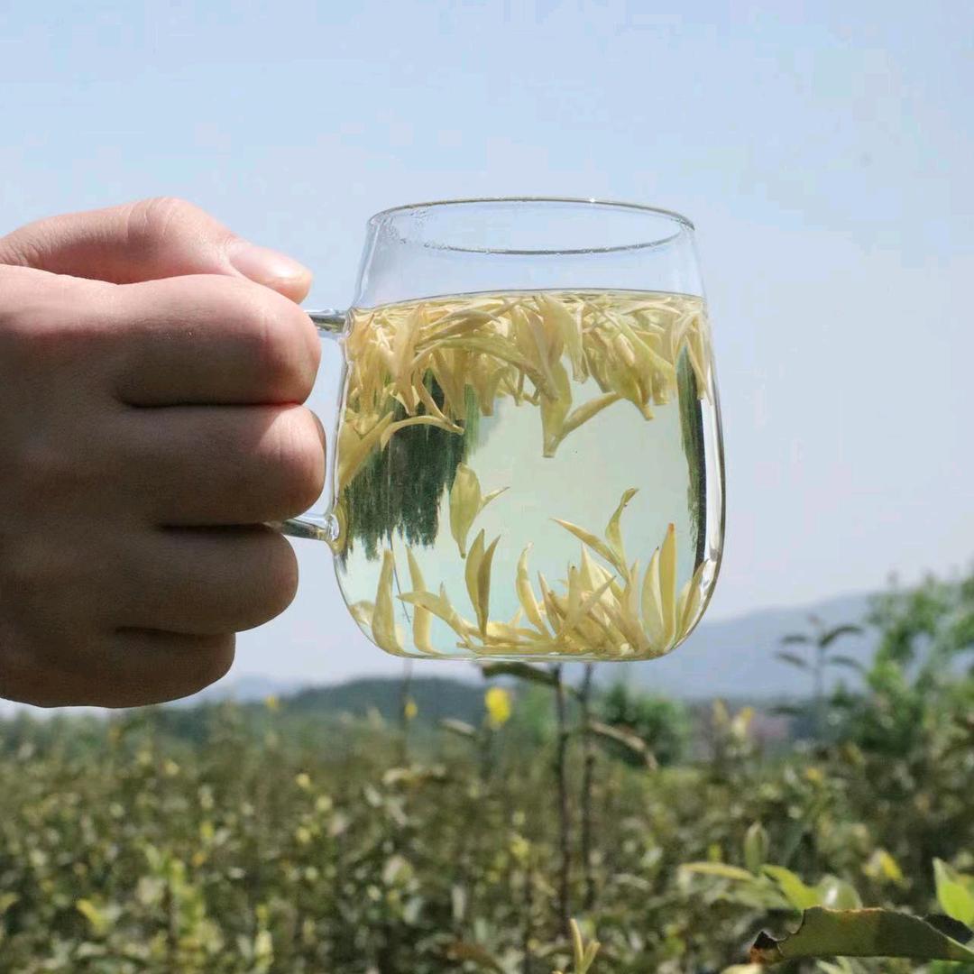 秋豆子茶叶