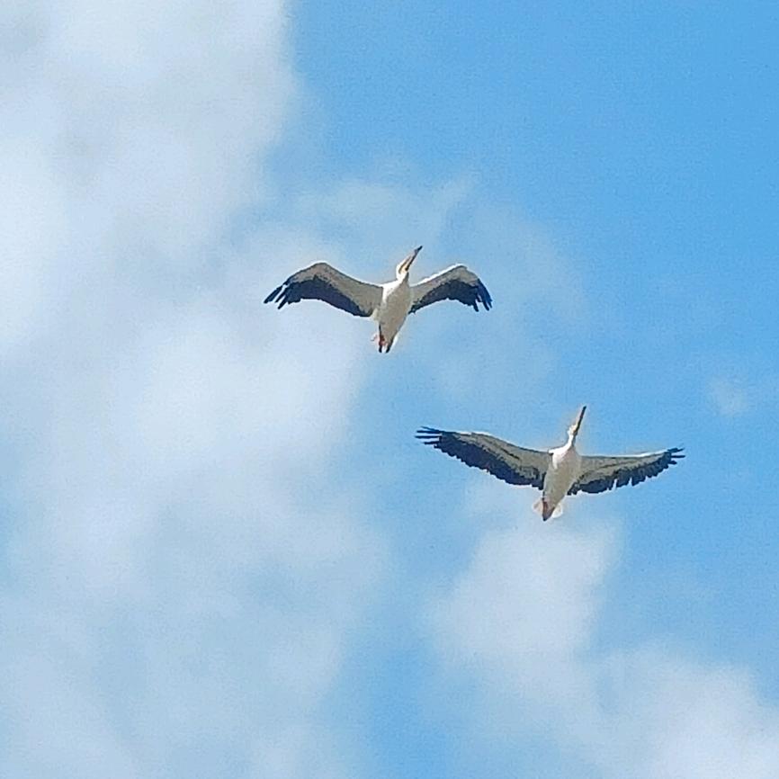 ☞青衫烟雨客☜