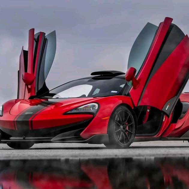 学会丶ლ懂得丶