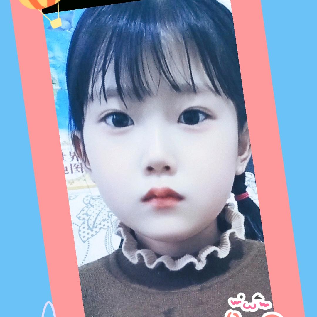太阳花