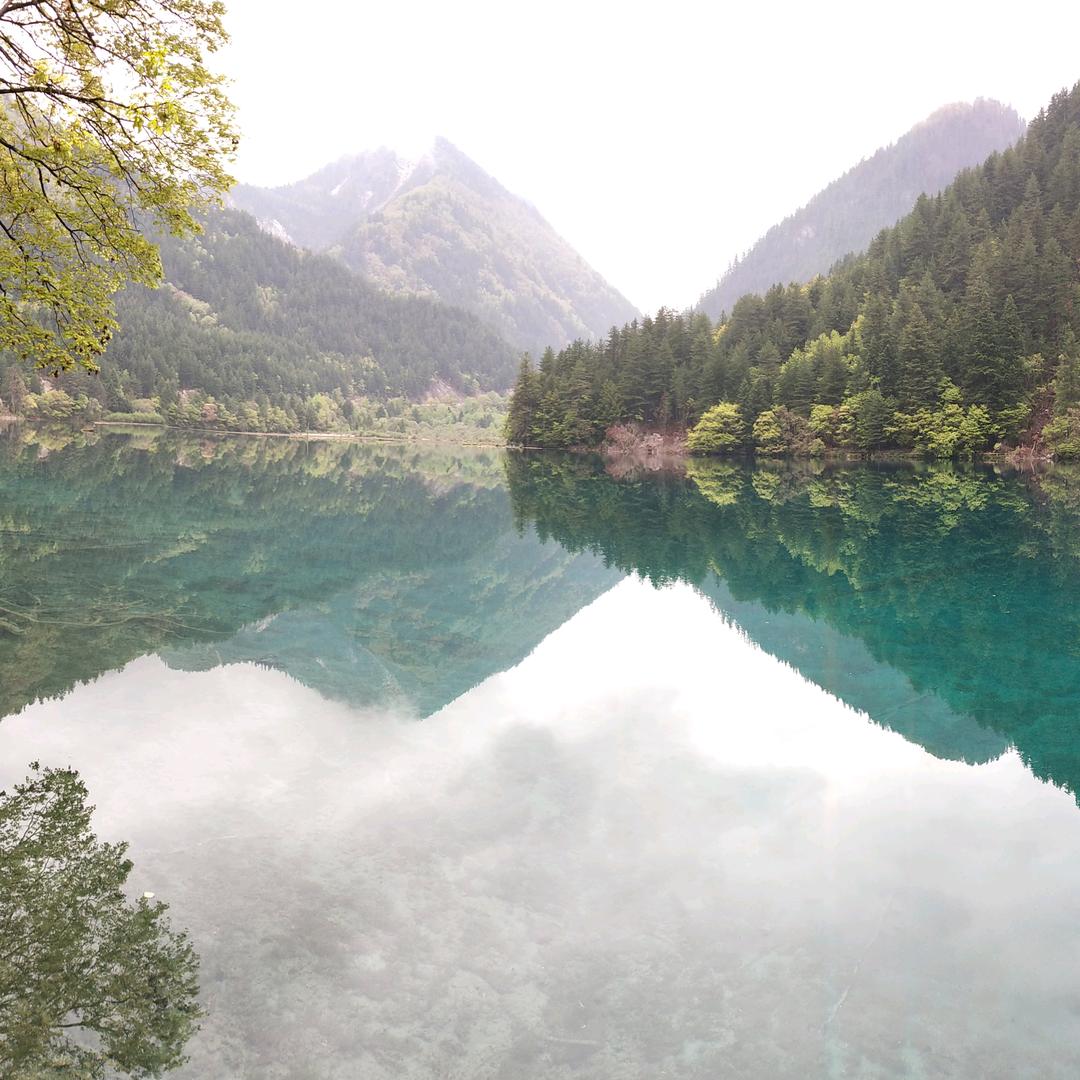 （清真）伊情顺牛羊肉