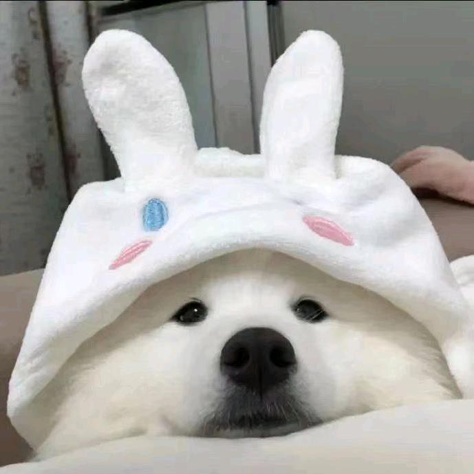 难梦