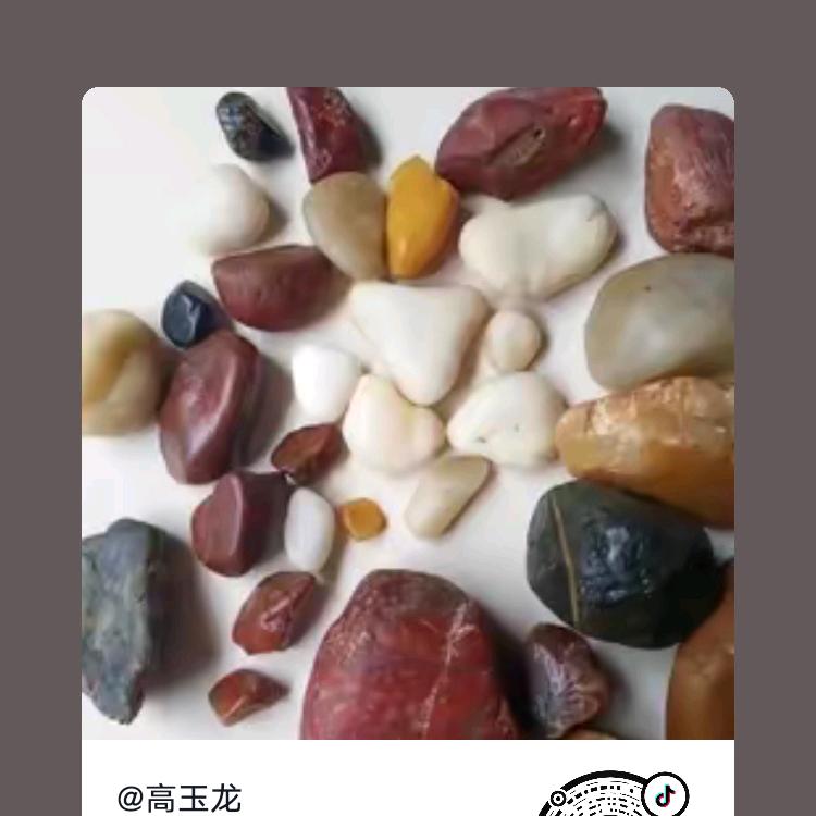高玉龙