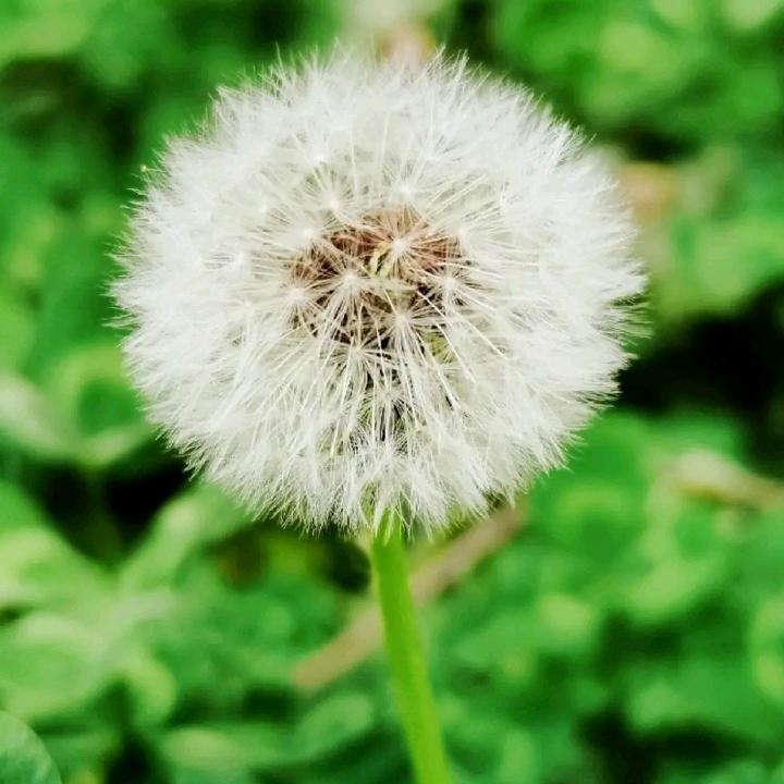 微笑向生活
