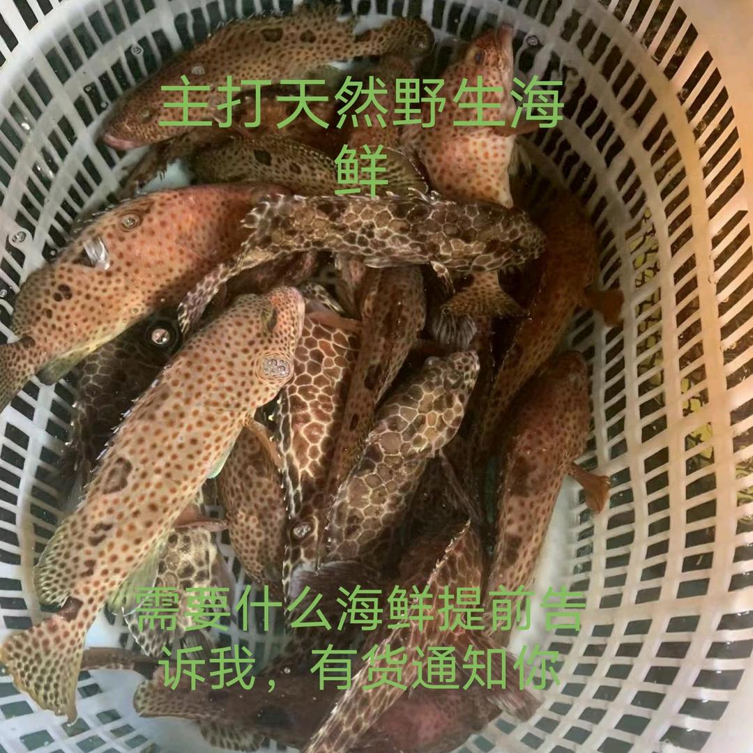桂哥海鲜坊