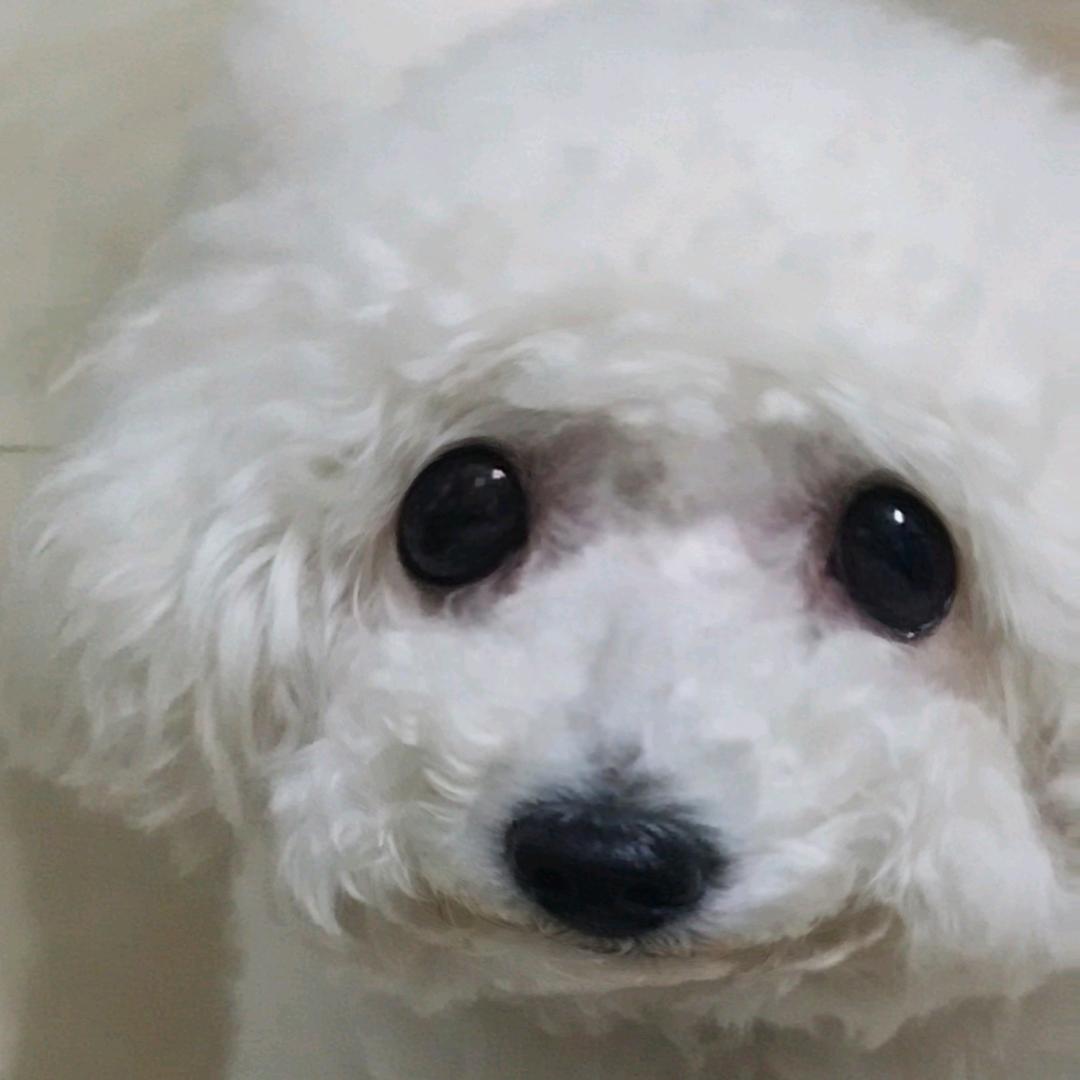 我想想