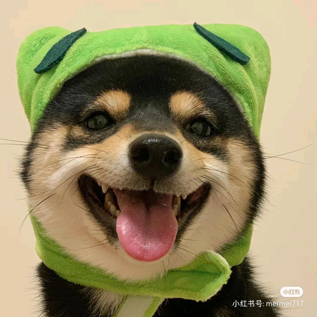 柴阿七