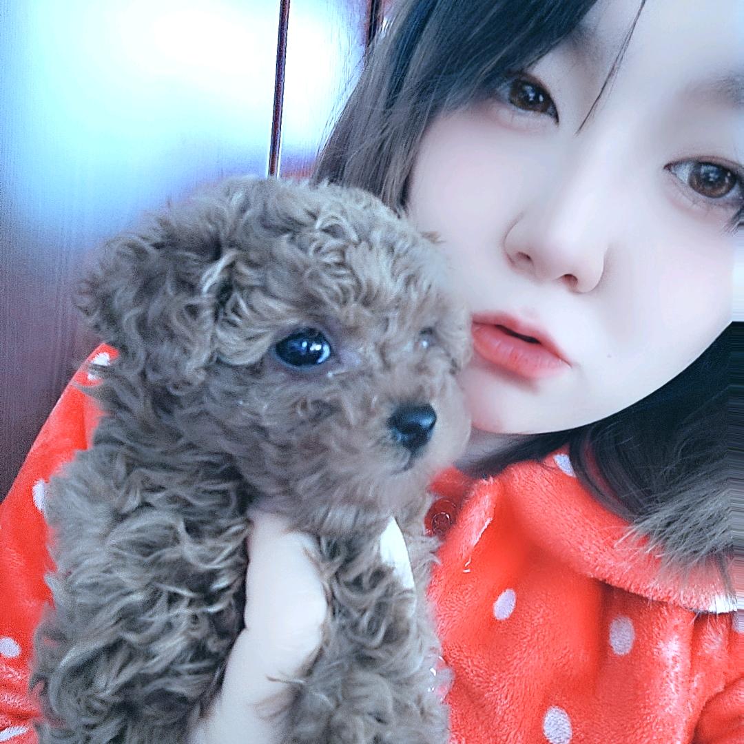 我只喜欢*简单爱