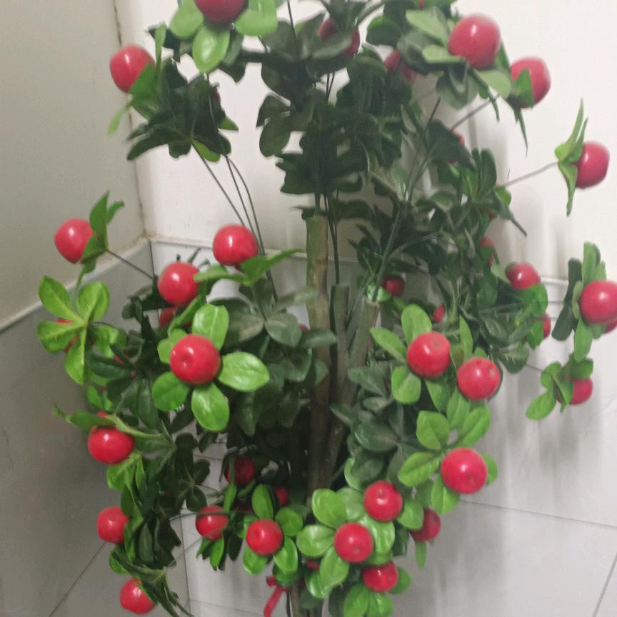 ❤️幸福一家❤️