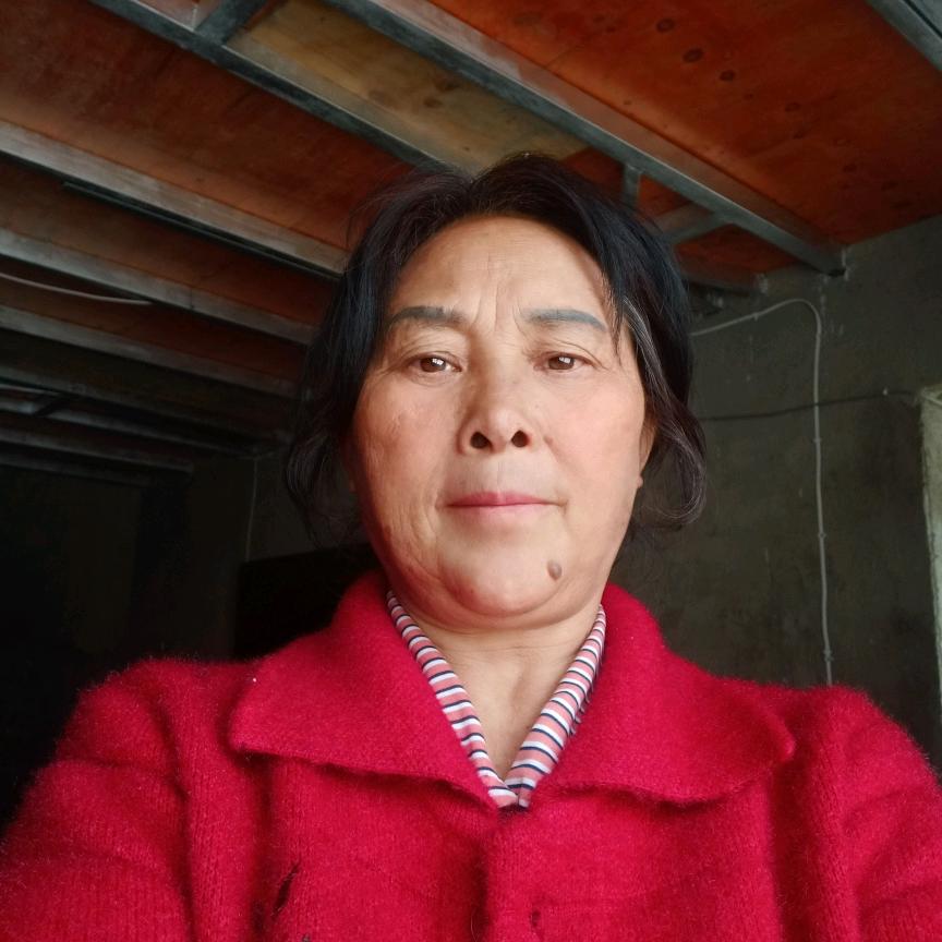 阳姐