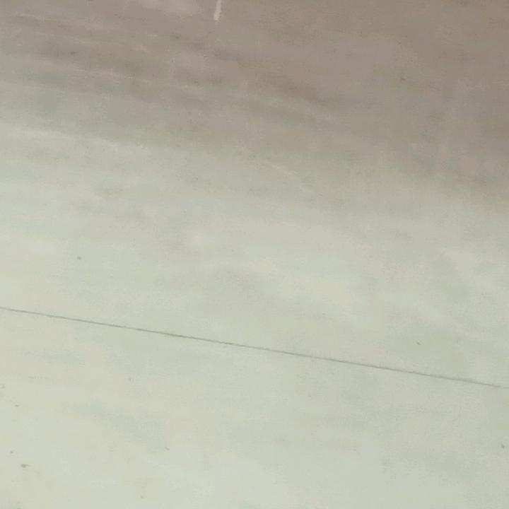 宝贝(๑˙❥˙๑)