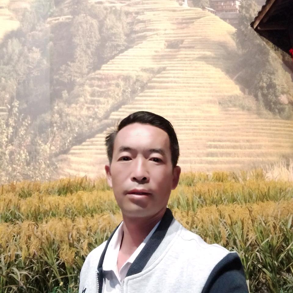 我行天下