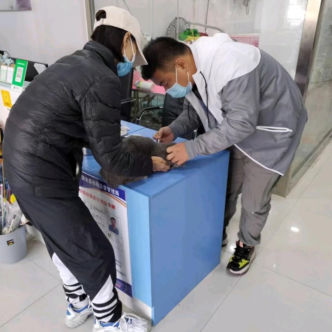 益宠宠物诊所(固安店)