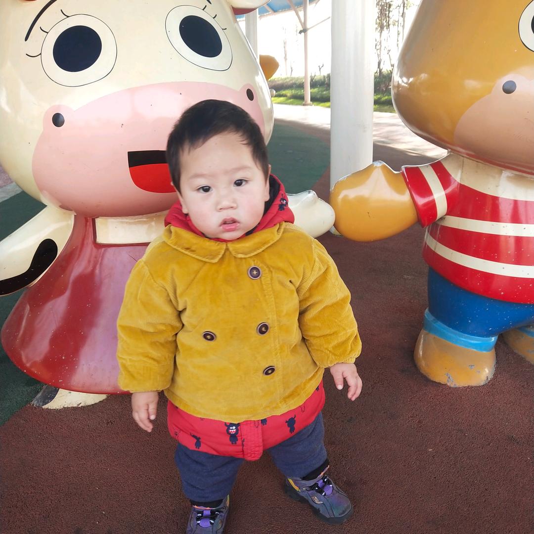 毛毛