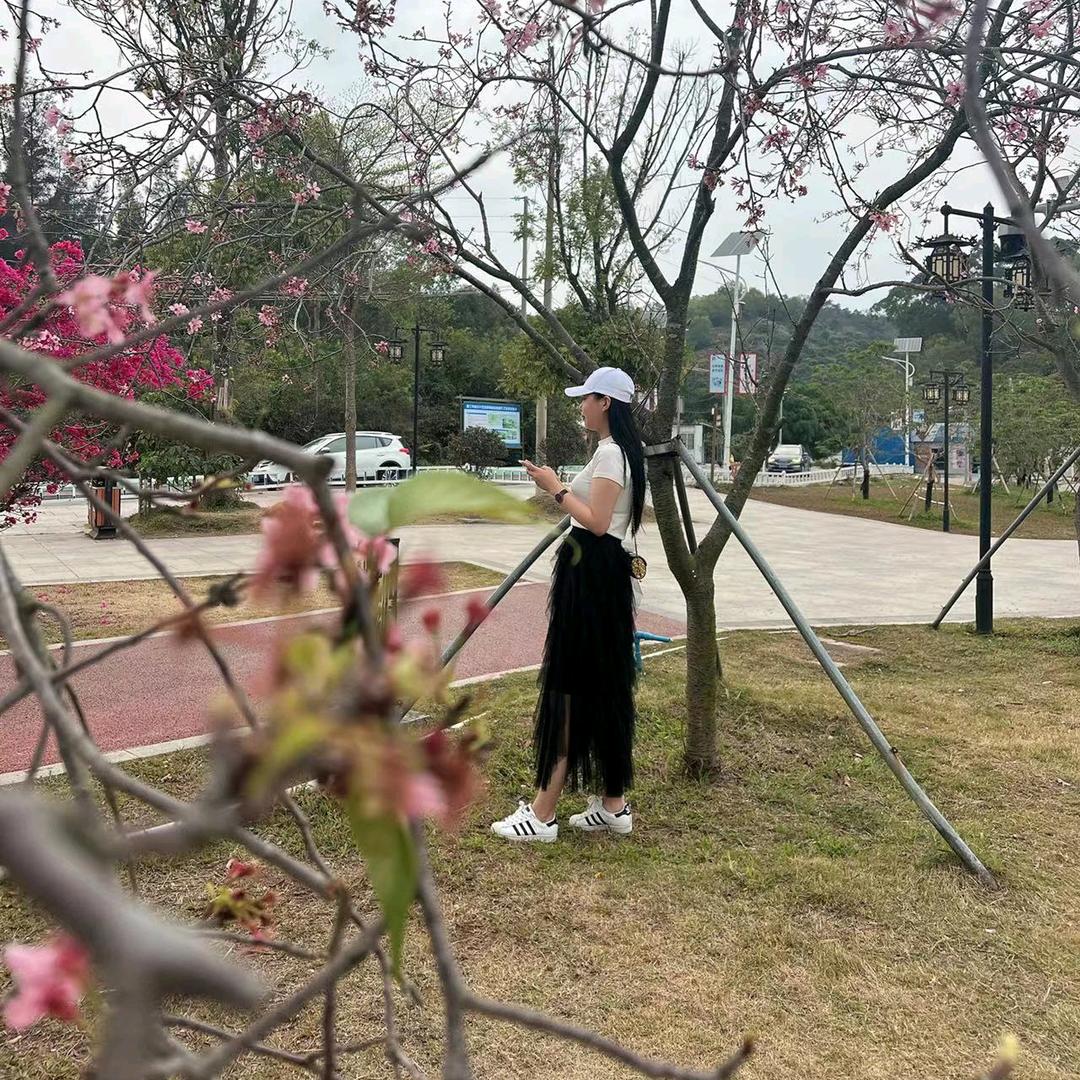 小陈姐姐🌹