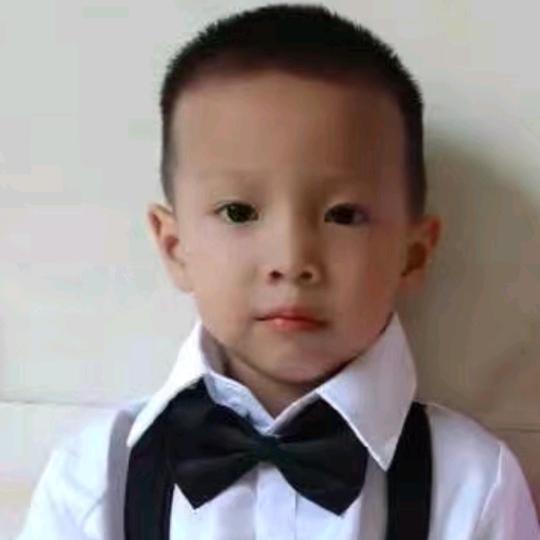 ꧁꫞树欲静而风不止꫞꧂