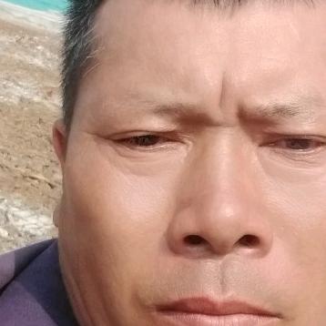 杨26174