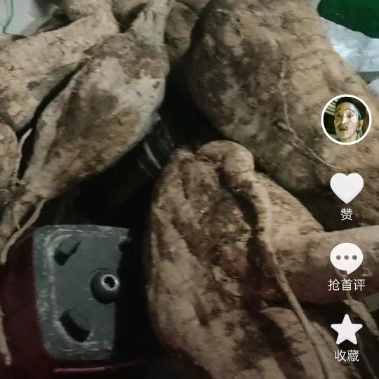 葛根粉