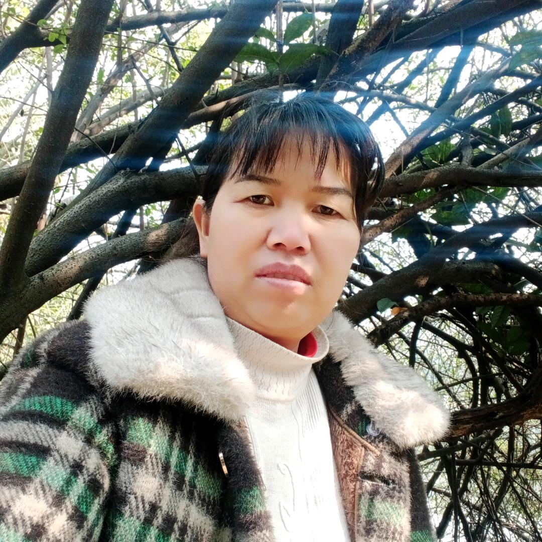 肖肖
