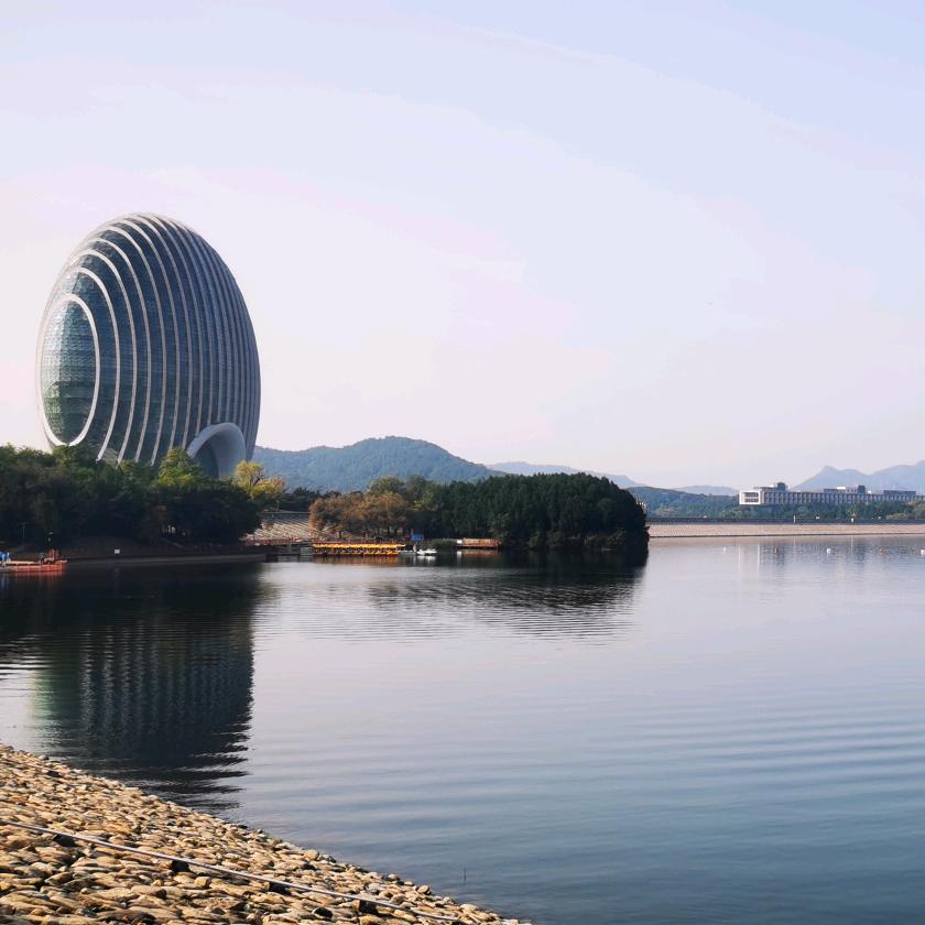 桃板小王子