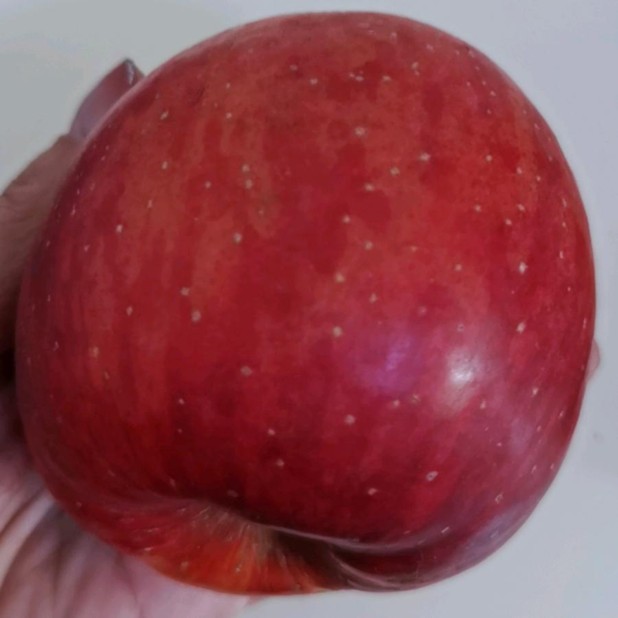 竹兴竹业（沐晚离兮）