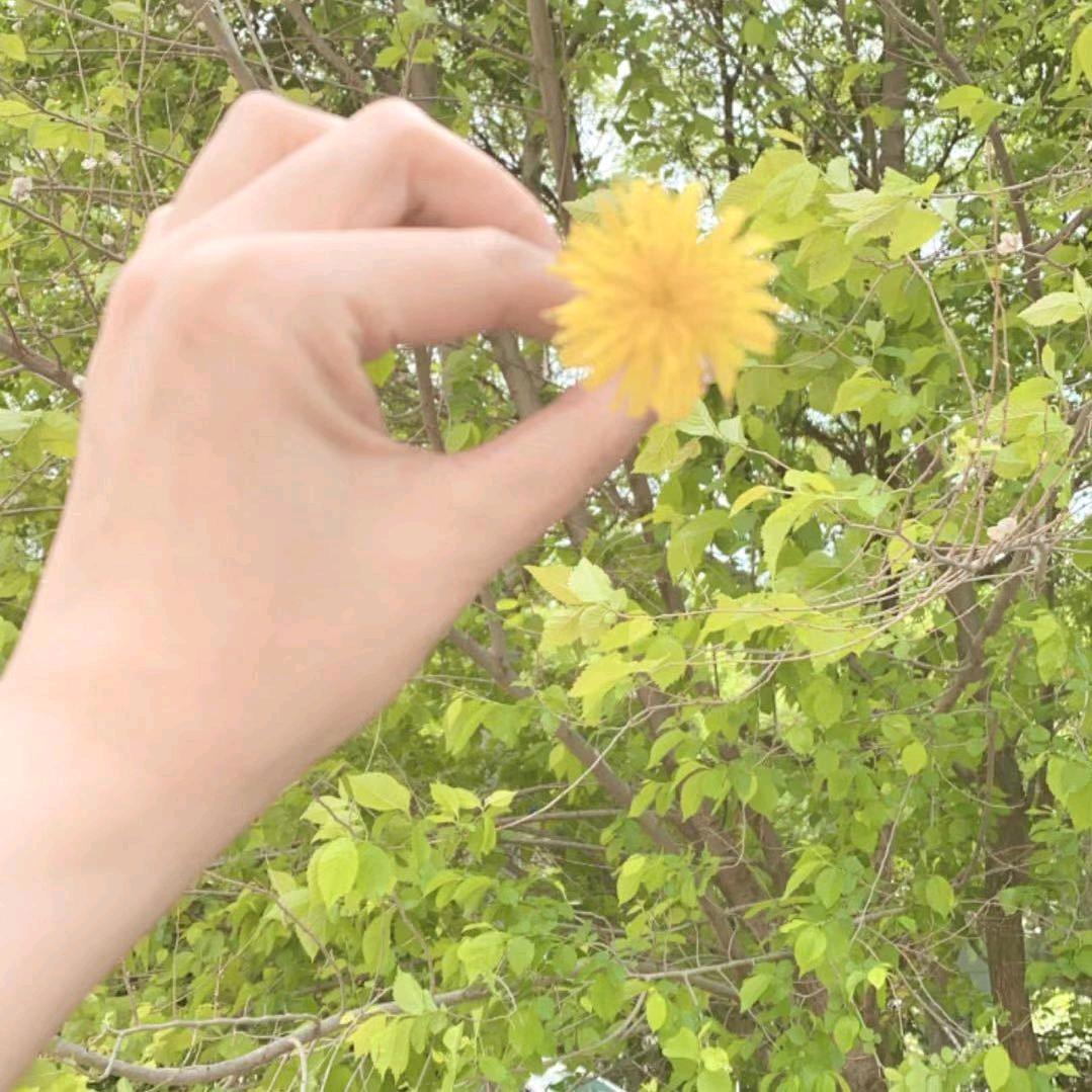 爱无期老谢