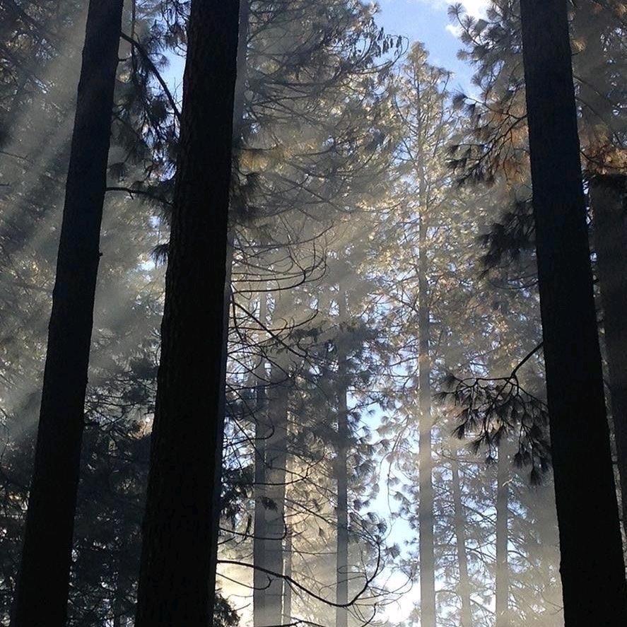 在祎起，就是祎辈子