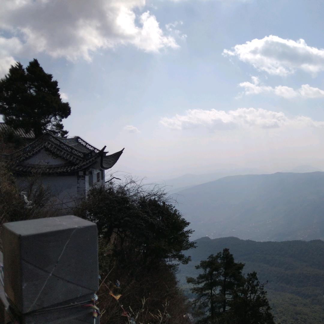 扶老奶奶闯红灯