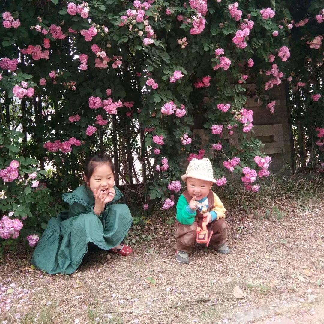 小思绪