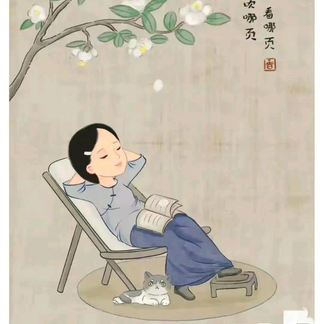 旺财姐