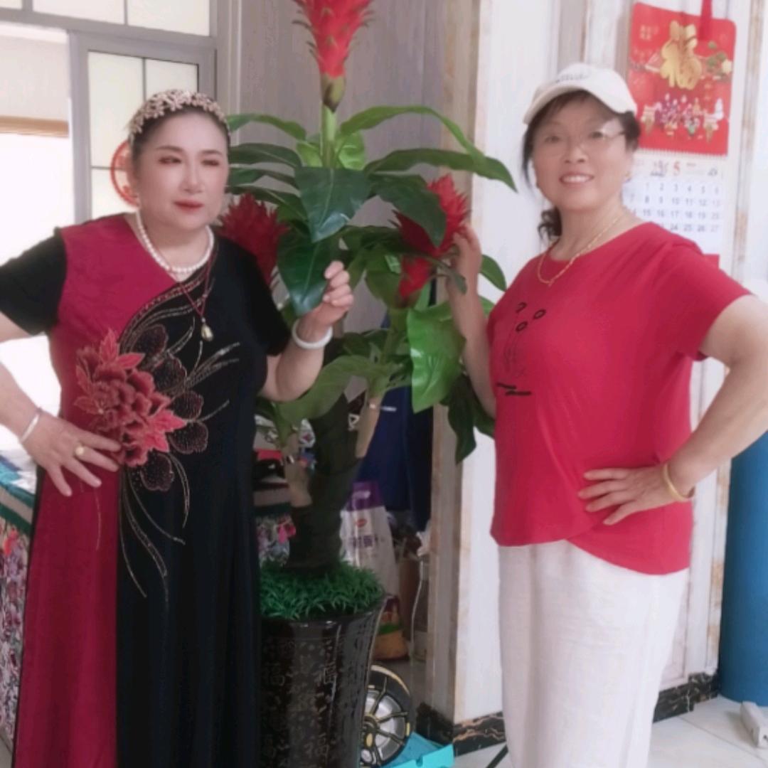 清风暖阳