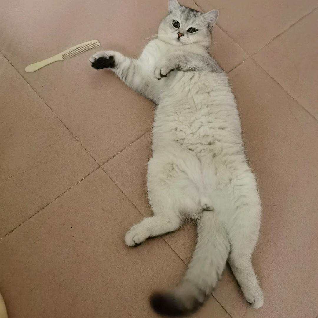 二🌹丫🌹头🌹