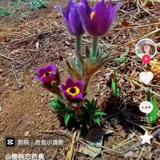 不告诉你
