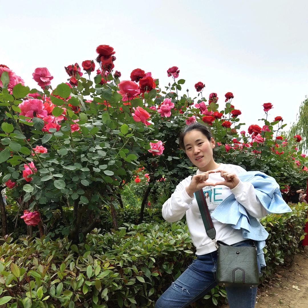 香香吃喝玩乐