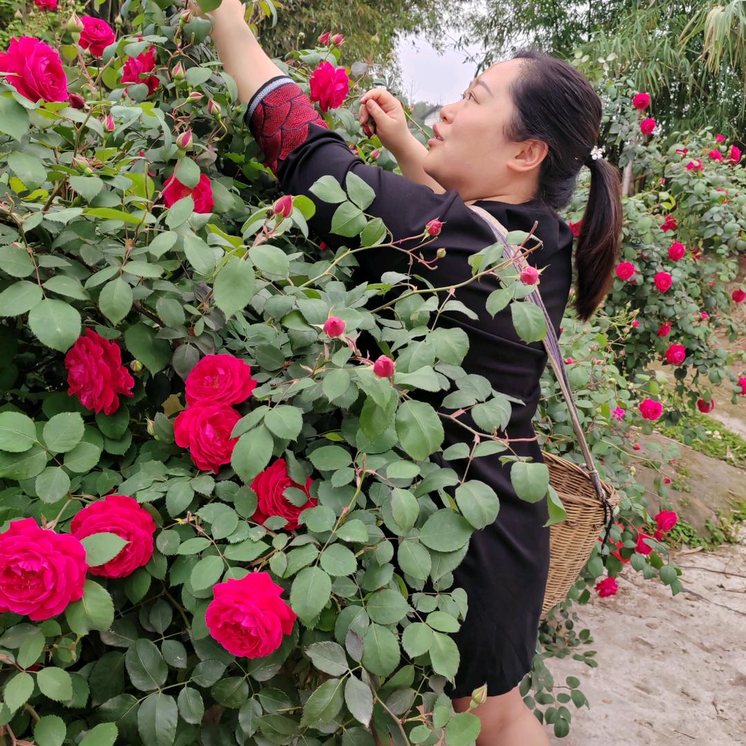 波波甄选小时达